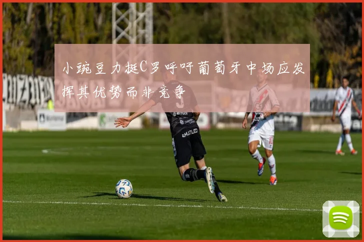 小豌豆力挺C罗呼吁葡萄牙中场应发挥其优势而非竞争